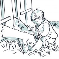 Pictogramme représentant un enfant nourrir une brebis